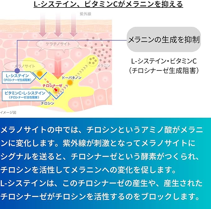 【第3類医薬品】トランシーノ ホワイトCクリア 240錠は、メラニンの生成を抑制。