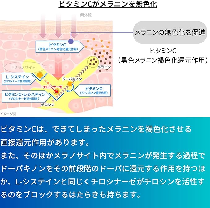 【第3類医薬品】トランシーノ ホワイトCクリア 240錠は、メラニンの無色化を促進。