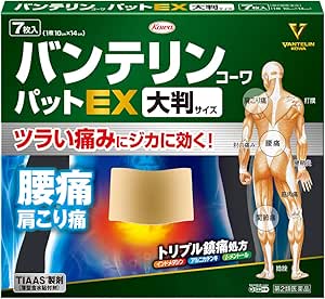 【第２類医薬品】［興和］　バンテリンコーワパットＥＸ　大判サイズ　７枚入
