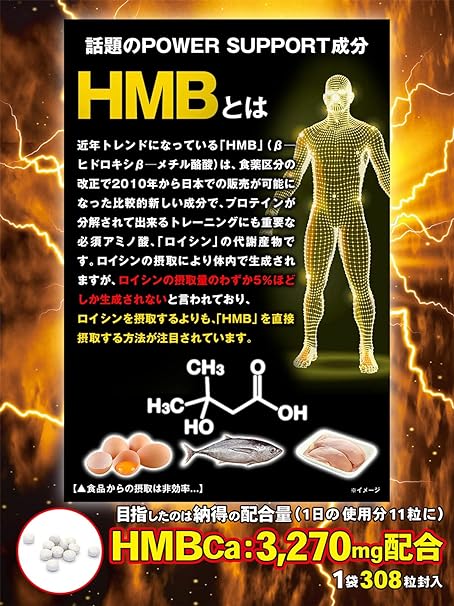 話題のトレーニングサポート成分「HMB」とは？