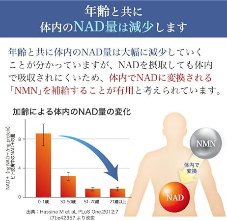 年齢と共に体内のNAD量は減少します。