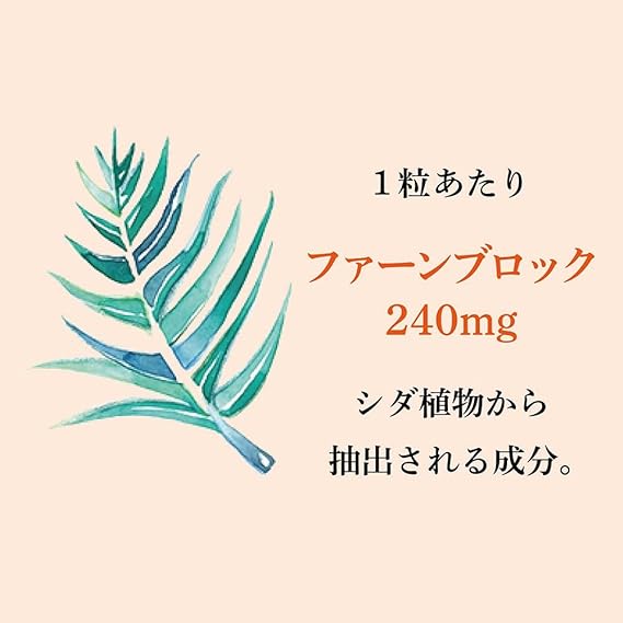 ロート製薬 ヘリオホワイト 24粒 ×5個セット シダ植物抽出成分 ファーンブロック Fernblock 240mg 配合 美容補助食品には、1粒あたりファーンブロック240mg