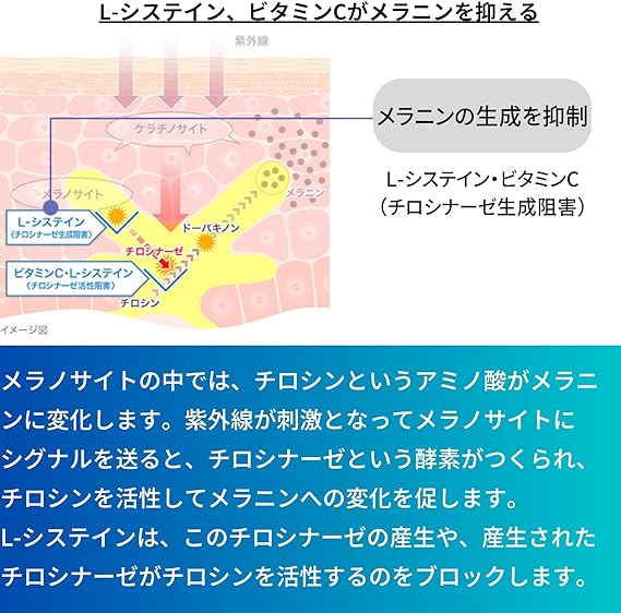 【第3類医薬品】トランシーノ ホワイトCプレミアム 180錠は、メラニンの生成を抑制。